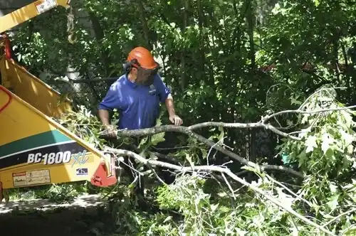 tree services Country Club